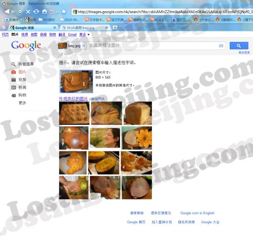 The Result of Google Images Search